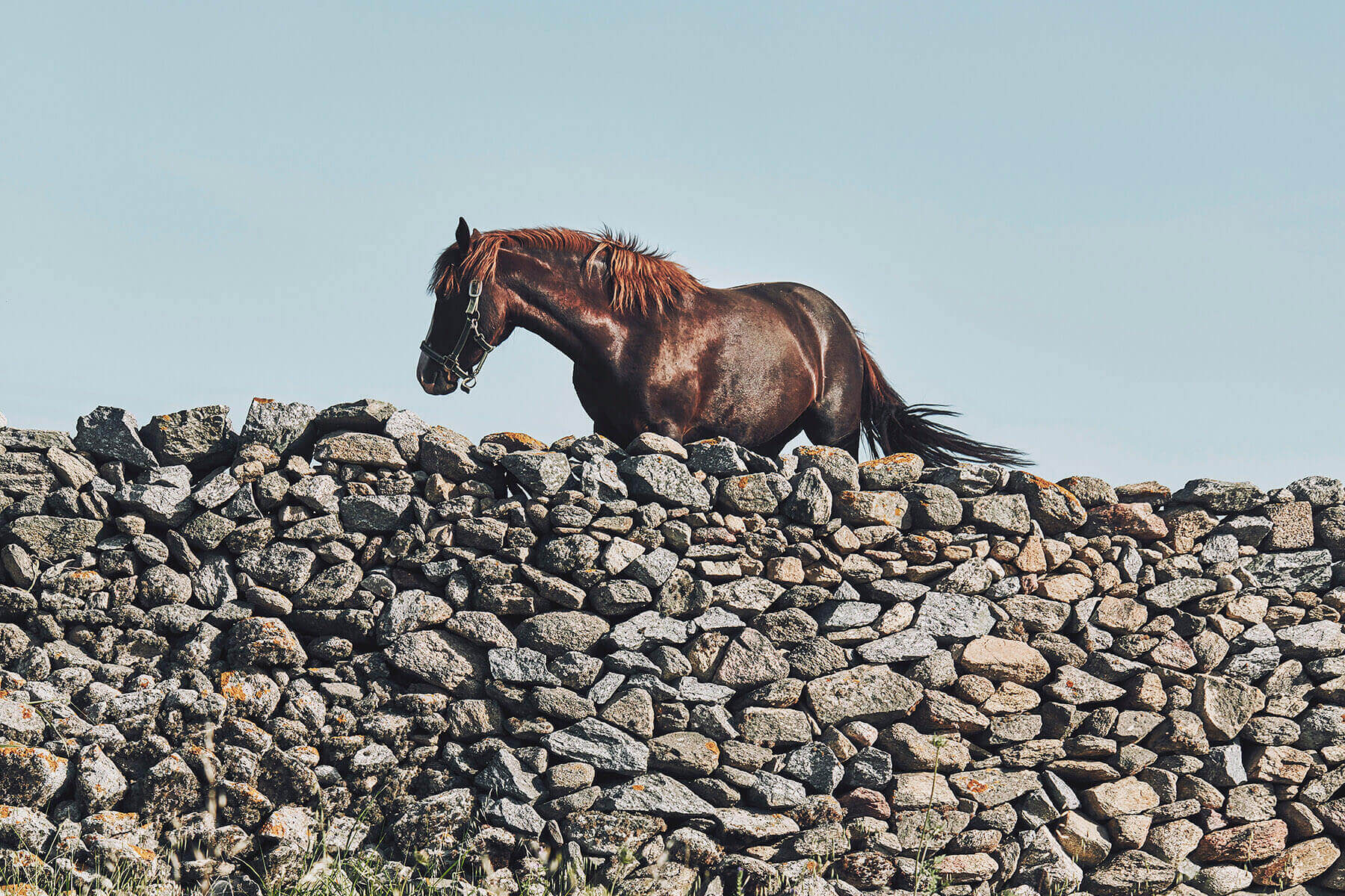 Horseriding